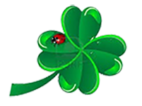 Empresa de jardineria en Madrid